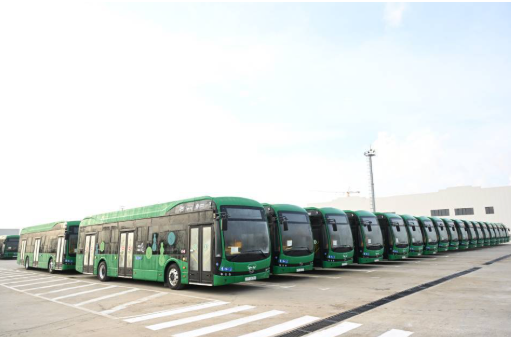 Bus